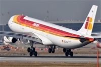 Rubn Gil - Noisy Spotters. Click to see full size photo