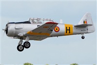 Tams. Click to see full size photo