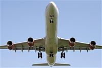 Miguel Martin Cordeiro - Iberian Spotters. Click to see full size photo