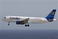Alfonso Sols - Asociacin Canary Islands Spotting. Haz click para ampliar