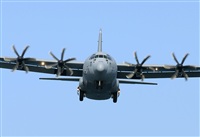 Alejandro H.L - Gran Canaria Spotters. Click to see full size photo