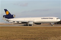 Miguel Alia - Noisy Spotters. Click to see full size photo