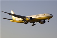 Javier de la Cruz - CANARY ISLANDS SPOTTING. Click to see full size photo
