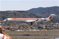 Miguel A. gueda Rguez.  (CANARY ISLANDS SPOTTING). Click to see full size photo