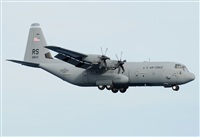 ©Alejandro H.L - Gran Canaria Spotters. Click to see full size photo ©Alejandro H.L - Gran Canaria Spotters. Click to see full size photo