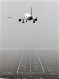 Adrin Alonso Lemes - Lanzarote Spotters. Click to see full size photo