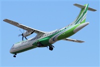 ©Alfonso Solís - Asociación Canary Islands Spotting. Click to see full size photo ©Alfonso Solís - Asociación Canary Islands Spotting. Click to see full size photo