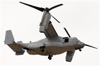 Adolfo Bento - Gran Canaria Spotters. Click to see full size photo