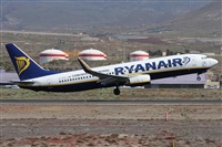 Alfonso Sols - Asociacin Canary Islands Spotting. Click to see full size photo