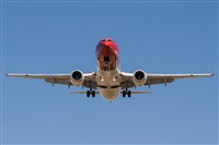 ©Ismael -Costa del Sol Spotters- (Fuengirola). Click to see full size photo ©Ismael -Costa del Sol Spotters- (Fuengirola). Click to see full size photo
