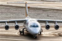 Javier de la Cruz - CANARY ISLANDS SPOTTING. Click to see full size photo