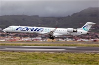 Javier de la Cruz - CANARY ISLANDS SPOTTING. Click to see full size photo
