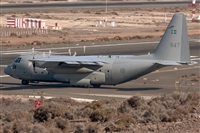 Bartolom Fernndez - Gran Canaria Spotters. Click to see full size photo