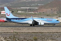 ©Alfonso Solís - Asociación Canary Islands Spotting. Click to see full size photo ©Alfonso Solís - Asociación Canary Islands Spotting. Click to see full size photo