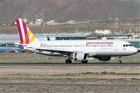 ©Alfonso Solís - Asociación Canary Islands Spotting. Click to see full size photo ©Alfonso Solís - Asociación Canary Islands Spotting. Click to see full size photo