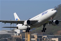Miguel A. gueda Rguez.  (CANARY ISLANDS SPOTTING). Click to see full size photo