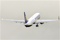 Paco Muoz Arencibia - Gran Canaria Spotters. Click to see full size photo