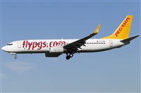 Rubn Gil - Noisy Spotters. Click to see full size photo