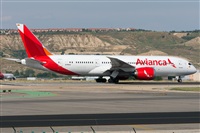 ©Adolfo Bento - Gran Canaria Spotters. Click to see full size photo ©Adolfo Bento - Gran Canaria Spotters. Click to see full size photo