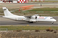 ©Alfonso Solís - Asociación Canary Islands Spotting. Click to see full size photo ©Alfonso Solís - Asociación Canary Islands Spotting. Click to see full size photo