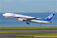 Miguel A. gueda Rguez.  (CANARY ISLANDS SPOTTING). Click to see full size photo