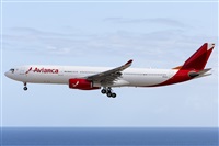 Daniel Santos Batista - Canary Islands Spotting. Click to see full size photo