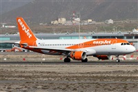 ©Alfonso Solís - Asociación Canary Islands Spotting. Click to see full size photo ©Alfonso Solís - Asociación Canary Islands Spotting. Click to see full size photo