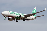 ©Alfonso Solís - Asociación Canary Islands Spotting. Click to see full size photo ©Alfonso Solís - Asociación Canary Islands Spotting. Click to see full size photo