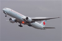 Miguel A. gueda Rguez.  (CANARY ISLANDS SPOTTING). Click to see full size photo