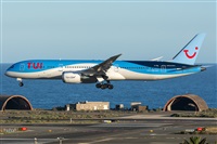 ©Adolfo Bento - Gran Canaria Spotters. Click to see full size photo ©Adolfo Bento - Gran Canaria Spotters. Click to see full size photo