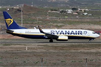 ©Alfonso Solís - Asociación Canary Islands Spotting. Click to see full size photo ©Alfonso Solís - Asociación Canary Islands Spotting. Click to see full size photo