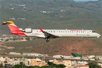 Adolfo Bento - Gran Canaria Spotters. Click to see full size photo