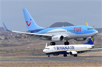 Miguel A. gueda Rguez.  (CANARY ISLANDS SPOTTING). Click to see full size photo