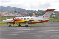 Miguel A. gueda Rguez.  (CANARY ISLANDS SPOTTING). Click to see full size photo