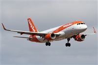 ©Alfonso Solís - Asociación Canary Islands Spotting. Click to see full size photo ©Alfonso Solís - Asociación Canary Islands Spotting. Click to see full size photo