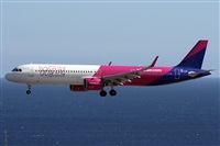 ©Alfonso Solís - Asociación Canary Islands Spotting. Click to see full size photo ©Alfonso Solís - Asociación Canary Islands Spotting. Click to see full size photo