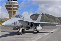 Miguel A. gueda Rguez.  (CANARY ISLANDS SPOTTING). Haz click para ampliar