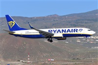 Miguel A. gueda Rguez.  (CANARY ISLANDS SPOTTING). Click to see full size photo