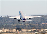 ©Javier Rodríguez. Click to see full size photo ©Javier Rodríguez. Click to see full size photo