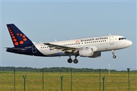 Miguel A. gueda Rguez.  (CANARY ISLANDS SPOTTING). Click to see full size photo