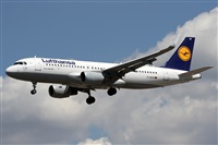 Alfonso Sols - Asociacin Canary Islands Spotting. Click to see full size photo