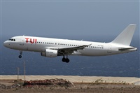Alfonso Sols - Asociacin Canary Islands Spotting. Click to see full size photo