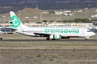 ©Alfonso Solís - Asociación Canary Islands Spotting. Click to see full size photo ©Alfonso Solís - Asociación Canary Islands Spotting. Click to see full size photo