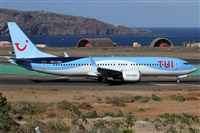 ©Alfonso Solís - Asociación Canary Islands Spotting. Click to see full size photo ©Alfonso Solís - Asociación Canary Islands Spotting. Click to see full size photo