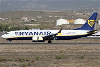 Alfonso Sols - Asociacin Canary Islands Spotting. Click to see full size photo