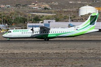 ©Alfonso Solís - Asociación Canary Islands Spotting. Click to see full size photo ©Alfonso Solís - Asociación Canary Islands Spotting. Click to see full size photo