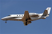 ©Alfonso Solís - Asociación Canary Islands Spotting. Click to see full size photo ©Alfonso Solís - Asociación Canary Islands Spotting. Click to see full size photo