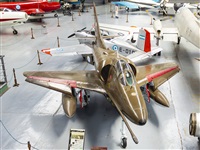 ©Luis. Click to see full size photo ©Luis. Click to see full size photo