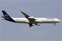 ©Román A. Pérez. Click to see full size photo ©Román A. Pérez. Click to see full size photo