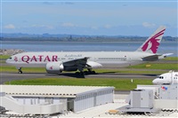 �Miguel A. �gueda Rguez.  (CANARY ISLANDS SPOTTING). Click to see full size photo